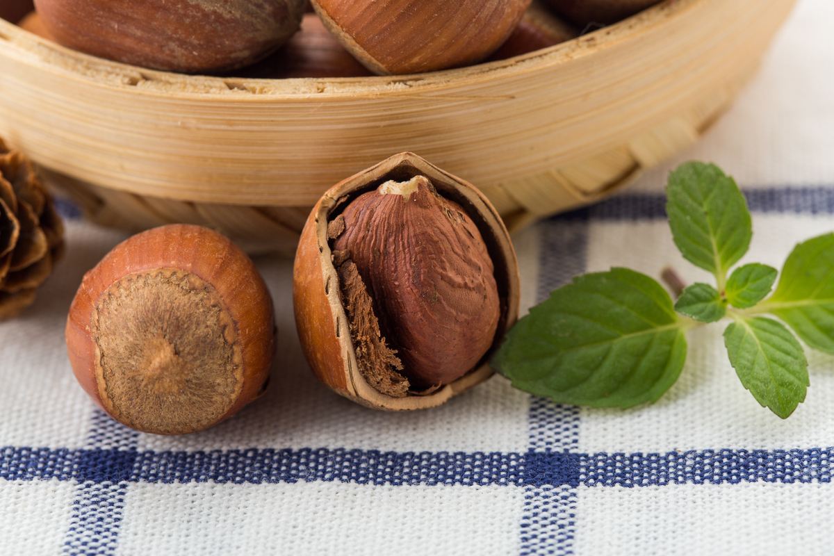 延吉长白山榛子