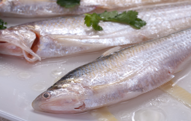 扶余松花江白鱼