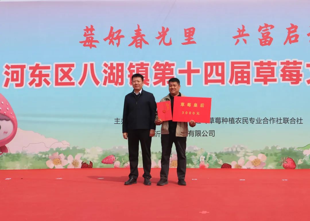 “莓”好春光里 共富启新程